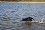 Toch wel leuk dat water!